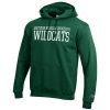 Men's Champion Green Northern Michigan Wildcats Eco Powerblend Pullover Hoodie - Image 2